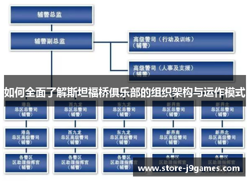 如何全面了解斯坦福桥俱乐部的组织架构与运作模式
