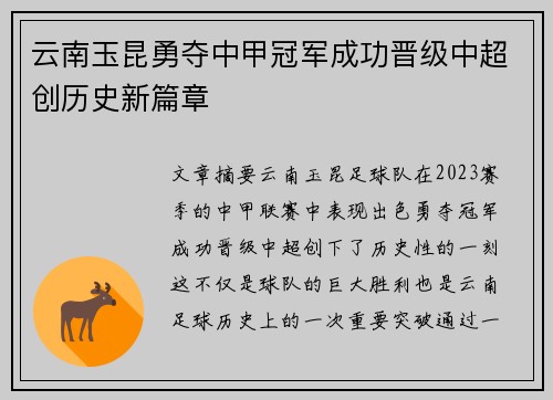 云南玉昆勇夺中甲冠军成功晋级中超创历史新篇章