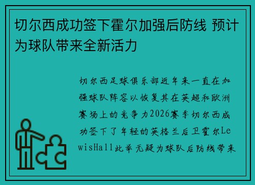 切尔西成功签下霍尔加强后防线 预计为球队带来全新活力